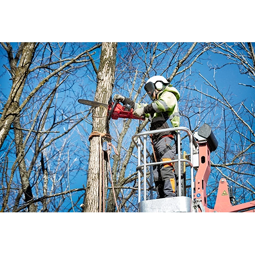 M18 FUEL™ 16" Chainsaw