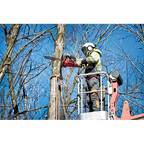 M18 FUEL™ 16" Chainsaw