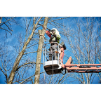 M18 FUEL™ 16" Chainsaw